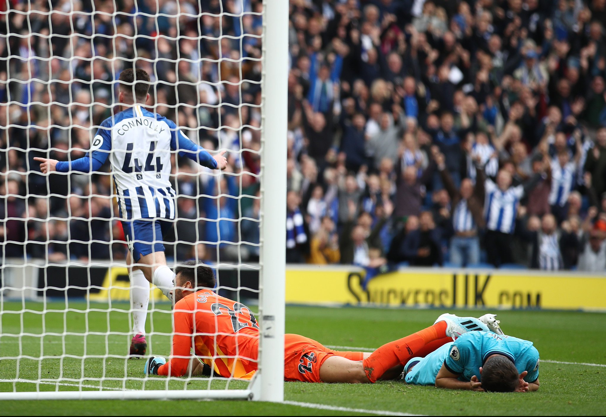 我们需要审 我们需要审